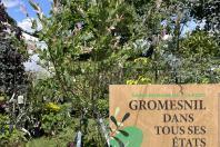 Enlarge the image